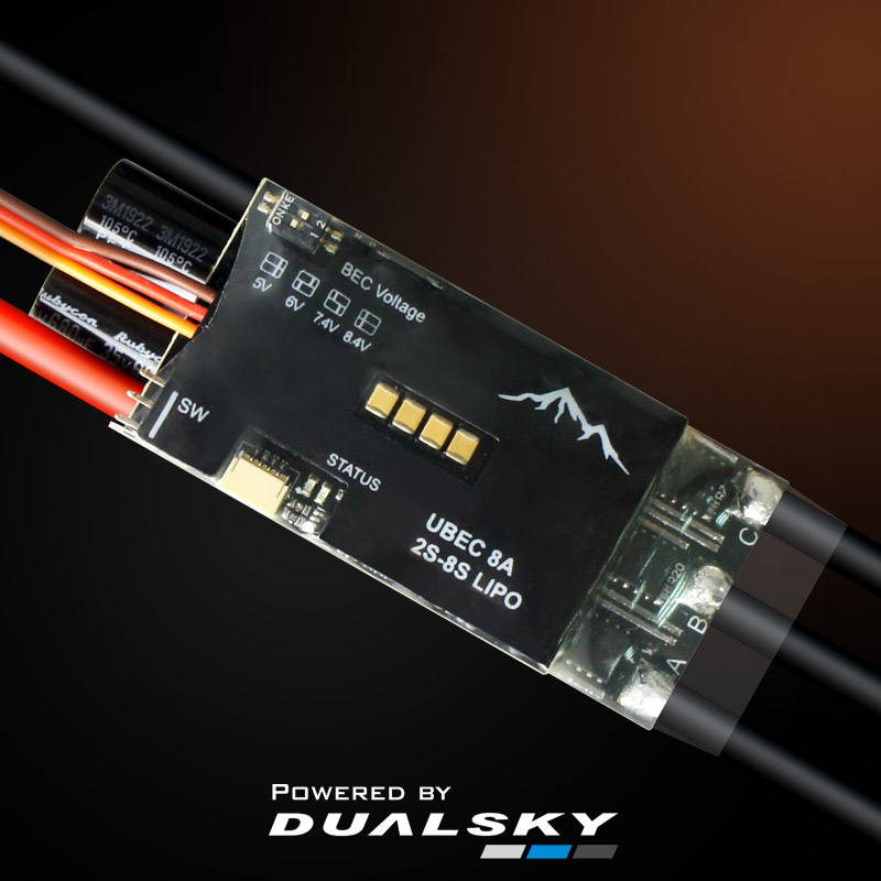 DualSky Summit 100A light weight, 2-8s