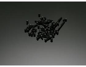 Frame Bolt Set : E51