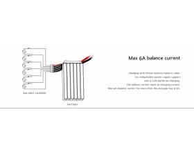 Radiolink CB86 Plus, 8 x 1-6s LiPo laturi8