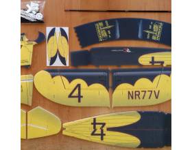 Gee Bee black-yellow EPP kit3