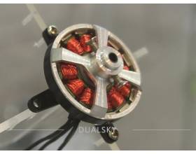 DualSky Typhoon XM2203TY-17 F3P1