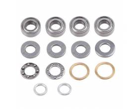 main blade grips bearing1